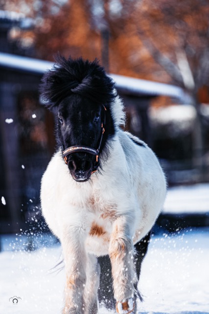 0A8A8179 Modifier Moyenne